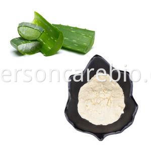 アロエベラジェルフリーズドライパウダー HERSONCARE 200:1 Aloe Vera Gel Freeze Dried Powder